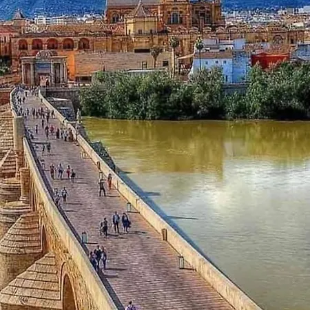 Precioso Loft El Arcangel Junto A La Ribera Apartment