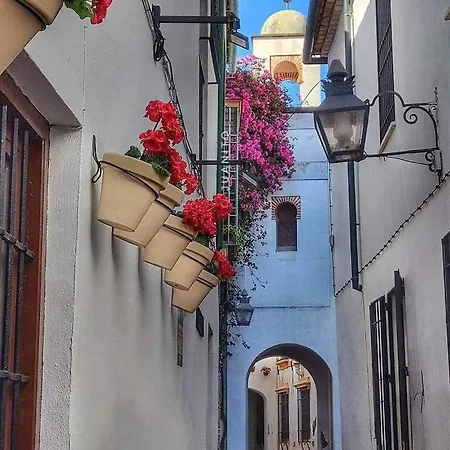 Precioso Loft El Arcangel Junto A La Ribera Apartment *