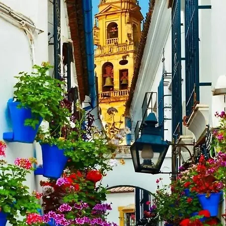Precioso Loft El Arcangel Junto A La Ribera Córdoba