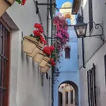 Precioso Loft El Arcangel Junto A La Ribera Apartment *